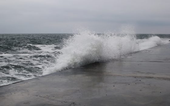 Первый шторм в Одессе: серфинг, экстремальная рыбалка и селфи в волнах (фоторепортаж) «фото»