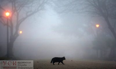 На Одессу опустится туман usionline.com На Одессу опустится туман «фото»