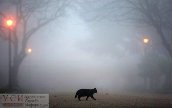 На Одессу опустится туман «фото»