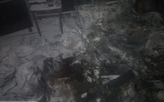 Хозяйка погибла при пожаре в собственном доме под Одессой «фото»