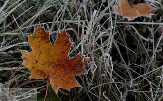 Погода на неделю: ночью минус, а днем – пасмурно «фото»