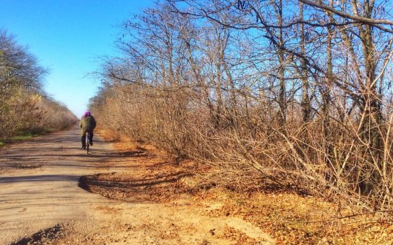 За посылками на велосипеде: село в Одесской области осталось без почты «фото»