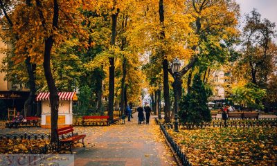 Итоги недели: пожар в Южном, Труханов на скамье подсудимых и удорожание тепла на 72% usionline.com Итоги недели: пожар в Южном, Труханов на скамье подсудимых и удорожание тепла на 72% «фото»