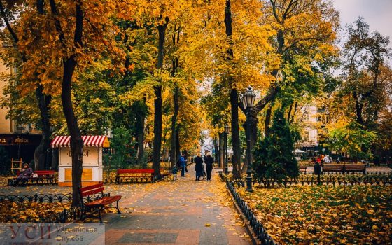 Итоги недели: пожар в Южном, Труханов на скамье подсудимых и удорожание тепла на 72% «фото»