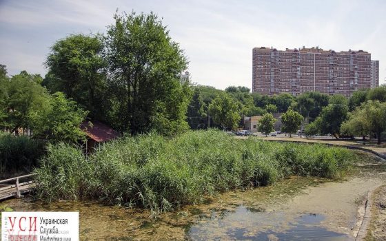 Одесские депутаты решили расторгнуть договор с арендатором Дюковского сада «фото»