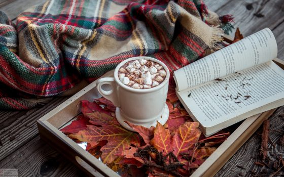 Кофе и книги: пять увлекательных книг для ноябрьских вечеров «фото»