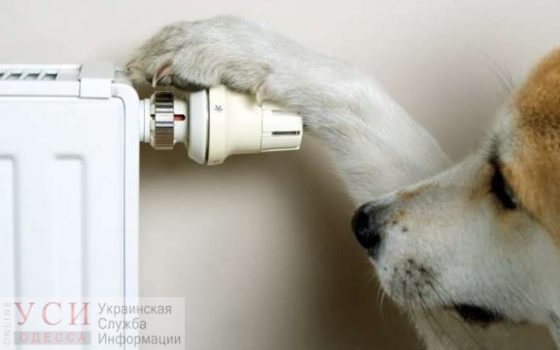 Центр Одессы без тепла: Одесскую ТЭЦ не запустили из-за ремонта газопровода и отсутствия номинаций «фото»