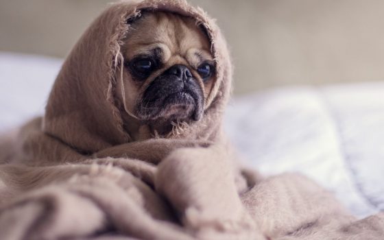 Ночью в Одесской области температура опустится до -7 градусов «фото»