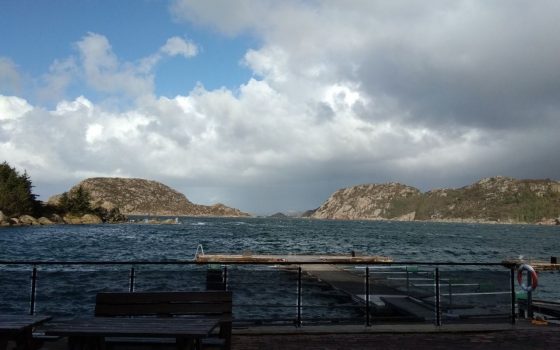 Хорошо там, где нас нет, – одесситы рассказывают, как им живется за рубежом (фото) «фото»