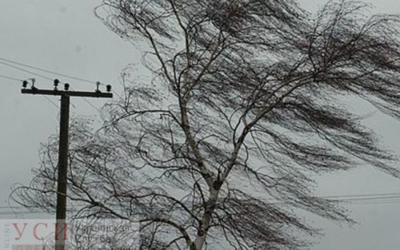 В одесской мэрии заверяют, что коммунальщики готовы к непогоде «фото»