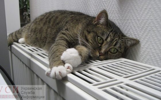 В Одессе наконец-то подали тепло в центре города «фото»