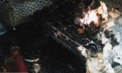 Пенсионерка получила сильные ожоги во время пожара в квартире на Семинарской (фото) «фото»