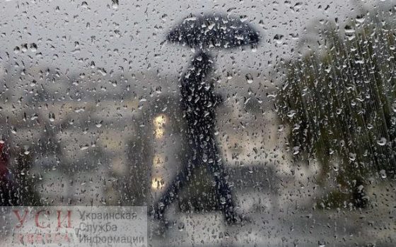 Одесситов просят быть бдительными и не оставлять машины под деревьями в связи с ураганом «фото»