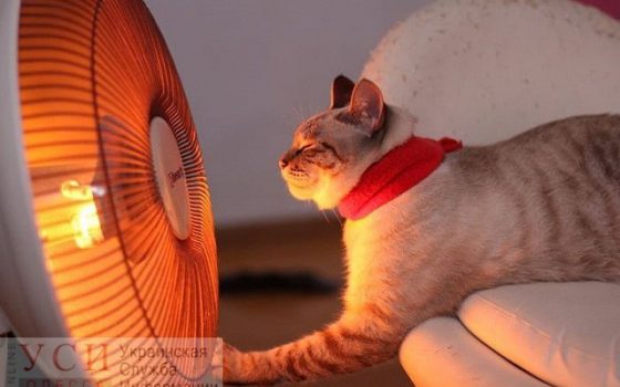 В Одессе тепло дошло только в половину домов: центр города продолжает мерзнуть «фото»