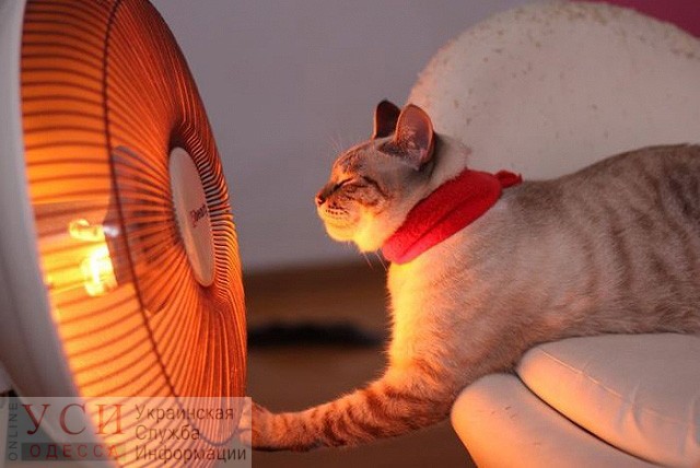 В Одессе тепло дошло только в половину домов: центр города продолжает мерзнуть «фото»