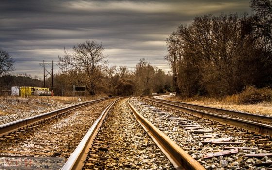 В Измаиле полиция расследует смерть на железной дороге: парню отрезало голову (фото 18+) «фото»