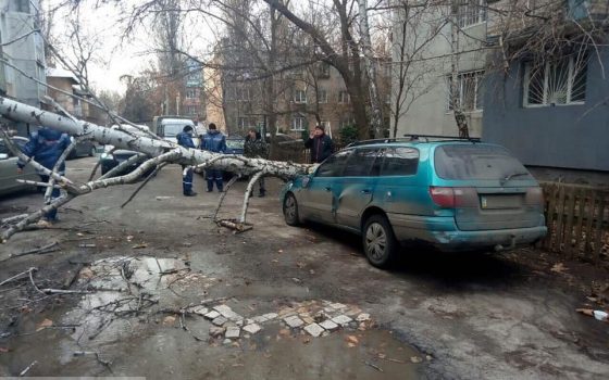 Несколько деревьев обрушились на припаркованные машины во время ночного шторма (фото) «фото»