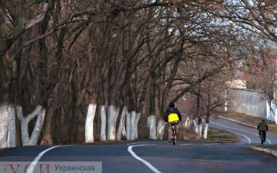 На Трассе здоровья появятся тревожные кнопки «фото»