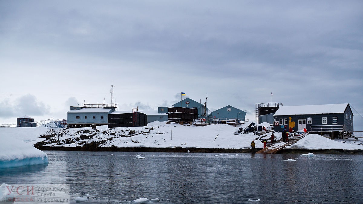 К одесским школьникам в гости приедут полярники из Антарктиды (фото) «фото»