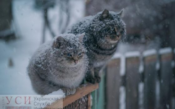 Одессе обещают метель и обледенение «фото»