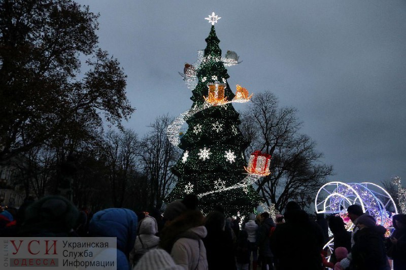Секретная новогодняя ель: в центре Одессы праздничную красавицу запрещают снимать с дрона (видео) «фото»