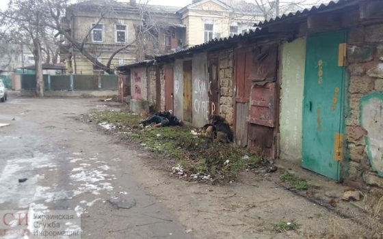 В районе Чумки на улице около часа пролежал труп бездомного usionline.com В районе Чумки на улице около часа пролежал труп бездомного «фото»