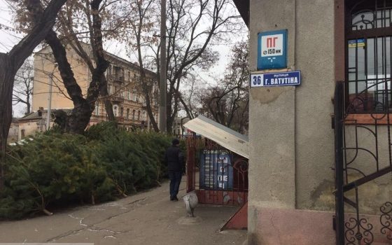 В центре Одессы под райотделом полиции незаконно торгуют елками – полицейские не в курсе (фото) «фото»
