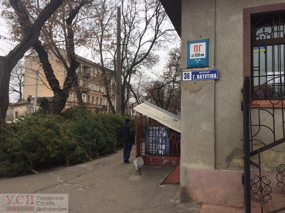 В центре Одессы под райотделом полиции незаконно торгуют елками – полицейские не в курсе (фото) «фото»