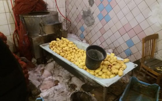 Как в Одессе готовят шаурму: активисты накрыли подпольный склад с нелегалами и антисанитарией (фото) «фото»