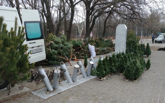 Полиция: “Практически все елочные базары в Одессе имеют разрешения и работают легально” usionline.com Полиция: “Практически все елочные базары в Одессе имеют разрешения и работают легально” «фото»
