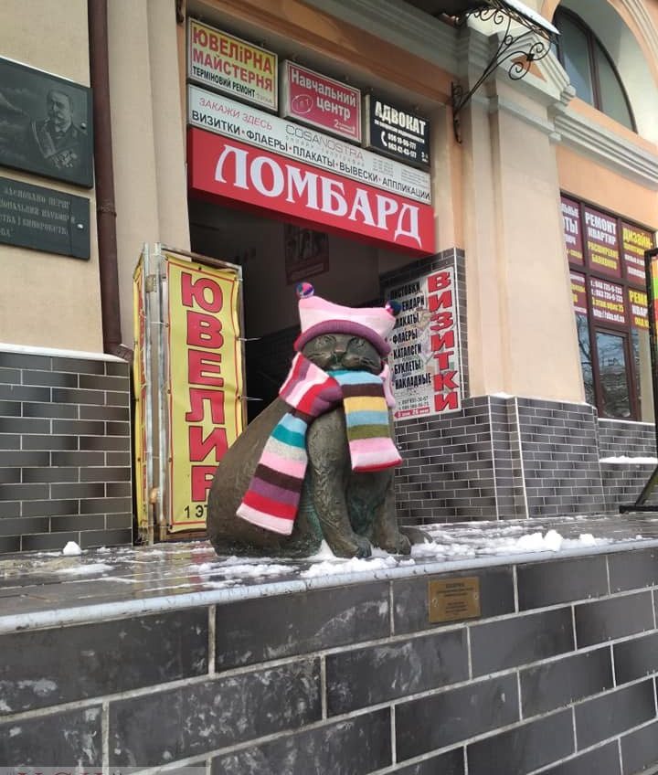 Скульптуры одесских котов утеплили к зиме (фото) «фото»