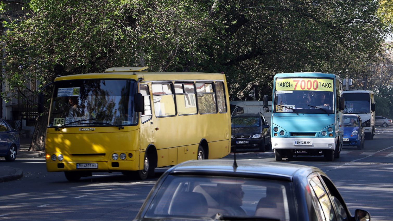 Транспортную революцию отложили: в мэрии разрабатывают новые правила пользования маршрутными такси, трамваями и троллейбусами «фото»