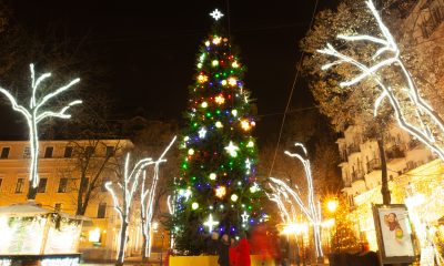 Новый год близко: на Дерибасовской зажгли праздничную елку (фото) usionline.com Новый год близко: на Дерибасовской зажгли праздничную елку (фото) «фото»