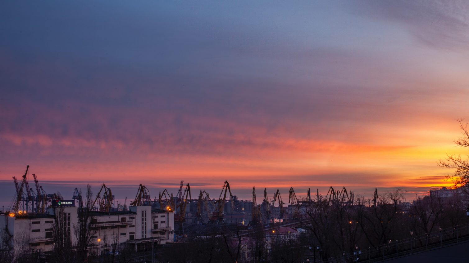 От розового до золотого: удивительный рассвет в Одессе (фото, видео) «фото»