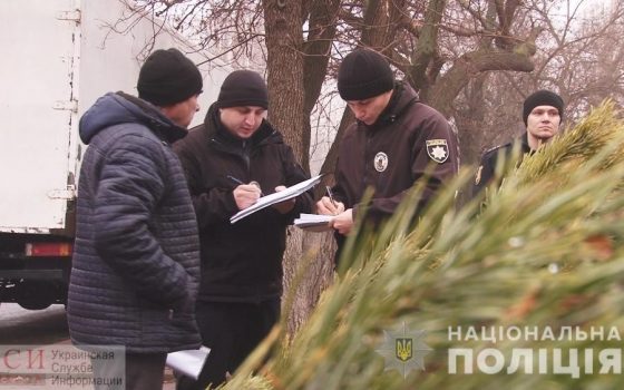 В Одесской области нашли сотню незаконных елок и опасную пиротехнику «фото»