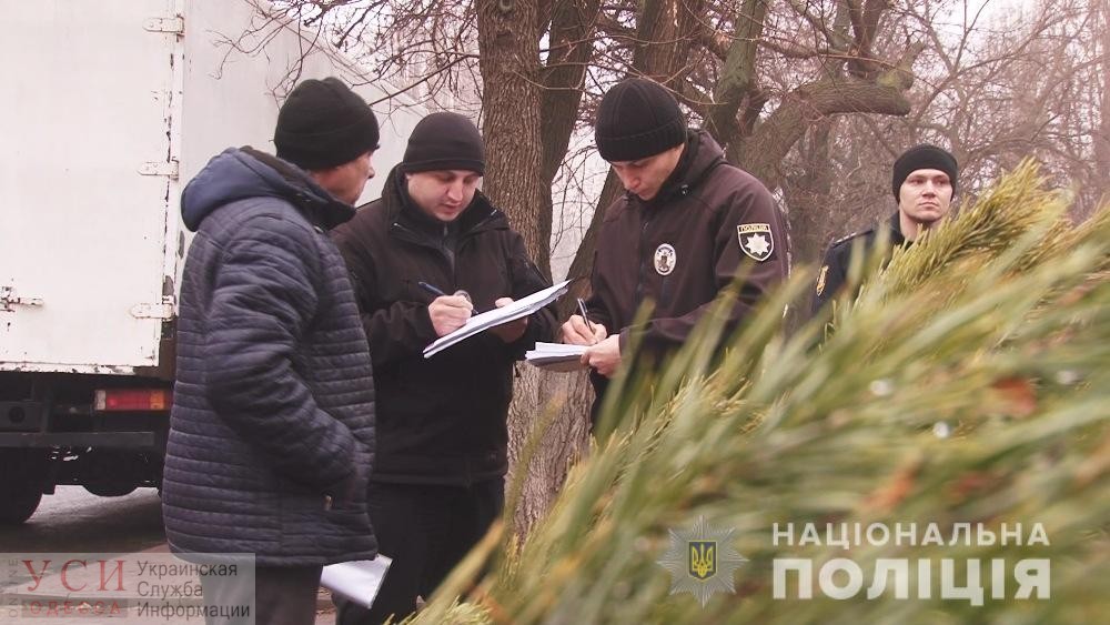 В Одесской области нашли сотню незаконных елок и опасную пиротехнику «фото»