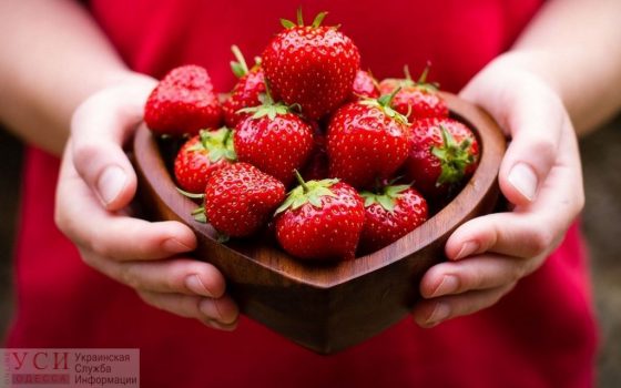 Клубничный рай: в Кодымском районе поставят склад и холодильники для хранения клубники, а работать будут члены религиозной общины «фото»