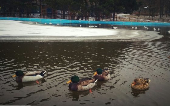 Одесситов ожидает облачный день и небольшие осадки вечером «фото»