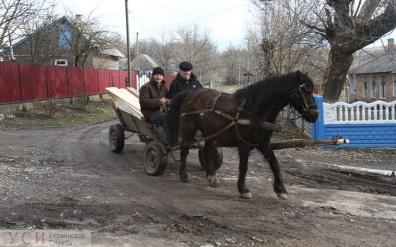 В Одесской области к 11% сел не ходит общественный транспорт «фото»