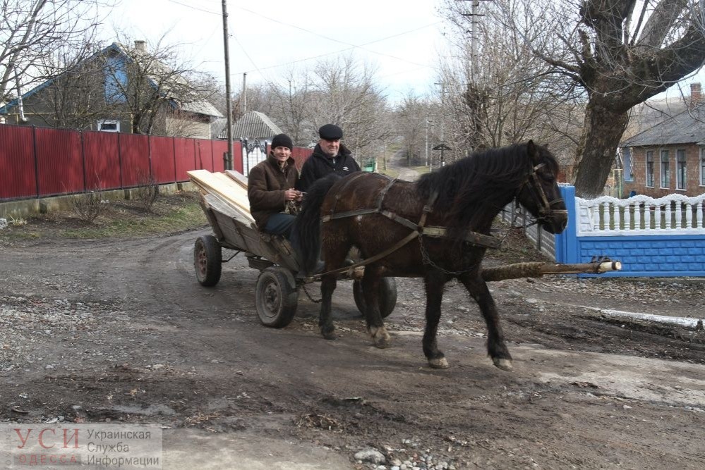 В Одесской области к 11% сел не ходит общественный транспорт «фото»