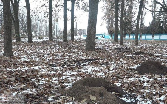 На Мемориале 411 батареи начали строительство “собачьего городка”: жители района беспокоятся за деревья usionline.com На Мемориале 411 батареи начали строительство “собачьего городка”: жители района беспокоятся за деревья «фото»