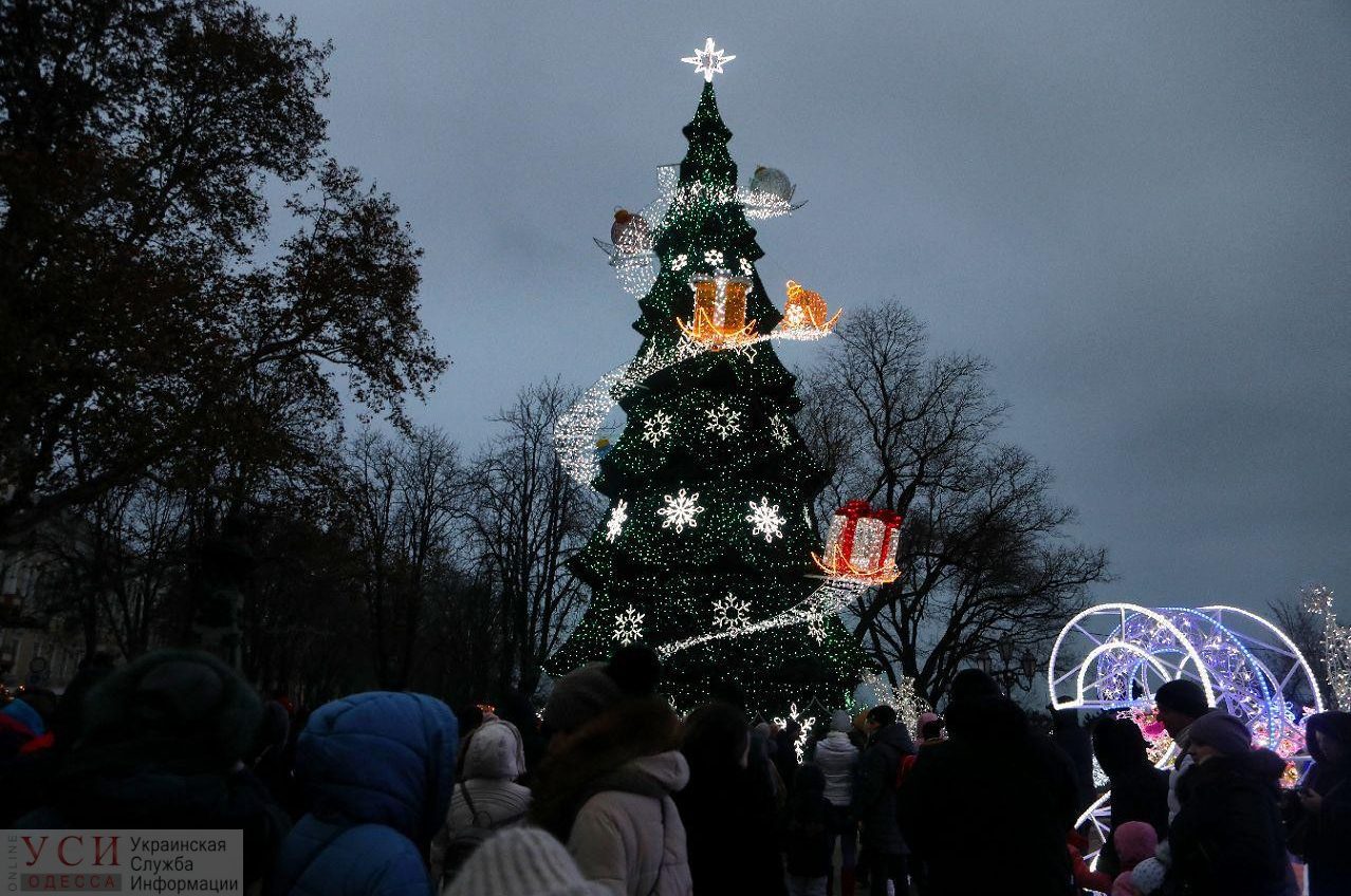 В Одессе зажгли главную елку города (фоторепортаж) «фото»