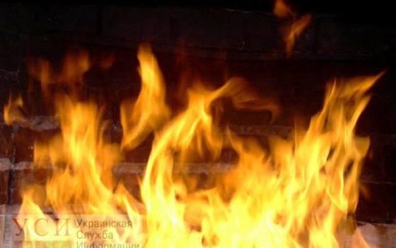 Во время пожара в Подольске погиб 55-летний мужчина «фото»