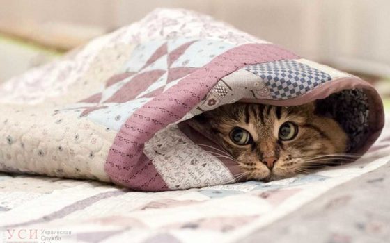 На следующей неделе в Одессе будет сыро и холодно usionline.com На следующей неделе в Одессе будет сыро и холодно «фото»