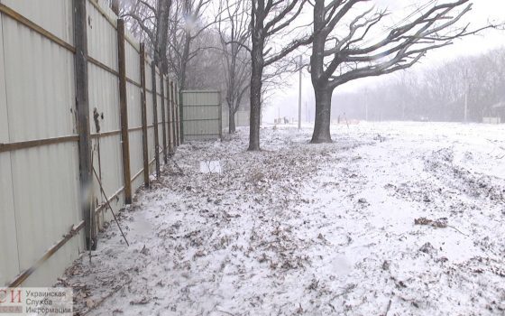 Активисты снова пытались снести забор вокруг строящегося “Догтауна” на 411 Батарее (видео) «фото»