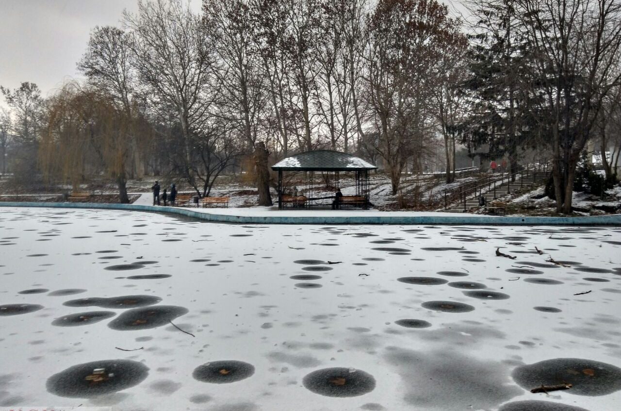 Праздничное настроение: в Сочельник улицы Одессы припорошило снегом (фото) «фото»