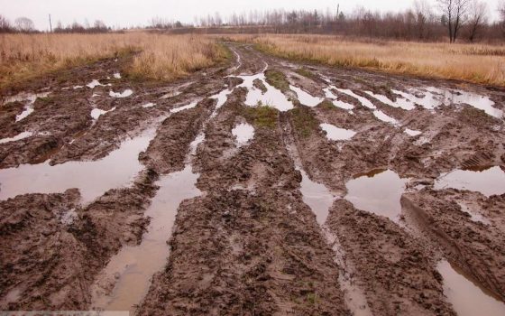 В Одесской области спасатели вытащили двух подростков, застрявших в грязи «фото»