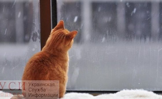 В Одессе ожидается снег с дождем «фото»