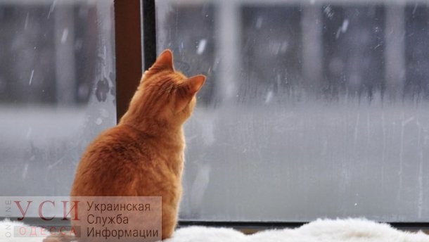В Одессе ожидается снег с дождем «фото»