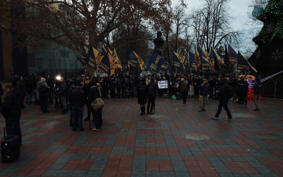 На Думской активисты собрались на акцию “Дельфинарий на костях” против стройки на Ланжероне, где погиб рабочий (фото) «фото»